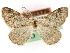 (Animomyia hardwicki - CNCLEP 00022893)  @11 [ ] CreativeCommons - Attribution Non-Commercial Share-Alike (2015) CNC Canadian National Collection