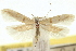  ( - CNCLEP00056443)  @11 [ ] CreativeCommons - Attribution (2013) CNC/CBG Photography Group Centre for Biodiversity Genomics