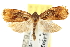  ( - CNCLEP00076280)  @13 [ ] CreativeCommons - Attribution (2013) CNC/CBG Photography Group Centre for Biodiversity Genomics