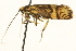  ( - CNCLEP00098586)  @12 [ ] CreativeCommons - Attribution (2013) CNC/CBG Photography Group Centre for Biodiversity Genomics