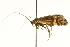  ( - CNCLEP00098588)  @12 [ ] CreativeCommons - Attribution (2013) CNC/CBG Photography Group Centre for Biodiversity Genomics