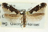  ( - CNCLEP00098619)  @14 [ ] CreativeCommons - Attribution (2013) CNC/CBG Photography Group Centre for Biodiversity Genomics