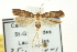  ( - CNCLEP00098726)  @13 [ ] CreativeCommons - Attribution (2013) CNC/CBG Photography Group Centre for Biodiversity Genomics