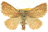  ( - CNCLEP00098827)  @14 [ ] CreativeCommons - Attribution (2013) CNC/CBG Photography Group Centre for Biodiversity Genomics