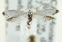  ( - CNCLEP00098901)  @11 [ ] CreativeCommons - Attribution (2013) CNC/CBG Photography Group Centre for Biodiversity Genomics