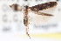  ( - CNCLEP00100004)  @11 [ ] CreativeCommons - Attribution (2012) CNC/CBG Photography Group Centre for Biodiversity Genomics