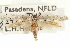  ( - CNCLEP00100096)  @14 [ ] CreativeCommons - Attribution (2013) CNC/CBG Photography Group Centre for Biodiversity Genomics
