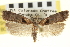 ( - CNCLEP00100125)  @11 [ ] CreativeCommons - Attribution (2013) CNC/CBG Photography Group Centre for Biodiversity Genomics
