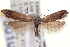  ( - CNCLEP00100138)  @14 [ ] CreativeCommons - Attribution (2013) CNC/CBG Photography Group Centre for Biodiversity Genomics