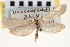  ( - CNCLEP00100197)  @11 [ ] CreativeCommons - Attribution (2013) CNC/CBG Photography Group Centre for Biodiversity Genomics