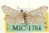  ( - CNCLEP00100251)  @11 [ ] CreativeCommons - Attribution (2013) CNC/CBG Photography Group Centre for Biodiversity Genomics