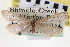  ( - CNCLEP00100256)  @11 [ ] CreativeCommons - Attribution (2013) CNC/CBG Photography Group Centre for Biodiversity Genomics