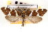  (Lampronia oregonella - CNCLEP00100292)  @14 [ ] CreativeCommons - Attribution (2013) CNC/CBG Photography Group Centre for Biodiversity Genomics