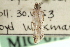  ( - CNCLEP00100362)  @12 [ ] CreativeCommons - Attribution (2013) CNC/CBG Photography Group Centre for Biodiversity Genomics
