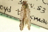  ( - CNCLEP00100364)  @12 [ ] CreativeCommons - Attribution (2013) CNC/CBG Photography Group Centre for Biodiversity Genomics