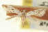  ( - CNCLEP00100365)  @11 [ ] CreativeCommons - Attribution (2013) CNC/CBG Photography Group Centre for Biodiversity Genomics
