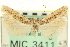  ( - CNCLEP00100446)  @11 [ ] CreativeCommons - Attribution (2013) CNC/CBG Photography Group Centre for Biodiversity Genomics