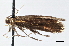  ( - CNCLEP00100458)  @11 [ ] CreativeCommons - Attribution (2013) CNC/CBG Photography Group Centre for Biodiversity Genomics