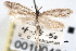  ( - CNCLEP00100461)  @11 [ ] CreativeCommons - Attribution (2013) CNC/CBG Photography Group Centre for Biodiversity Genomics