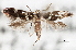  ( - CNCLEP00100478)  @11 [ ] CreativeCommons - Attribution (2013) CNC/CBG Photography Group Centre for Biodiversity Genomics