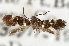  ( - CNCLEP00100480)  @11 [ ] CreativeCommons - Attribution (2013) CNC/CBG Photography Group Centre for Biodiversity Genomics