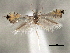  ( - CNCLEP00100489)  @11 [ ] CreativeCommons - Attribution (2013) CNC/CBG Photography Group Centre for Biodiversity Genomics