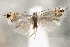  ( - CNCLEP00100492)  @11 [ ] CreativeCommons - Attribution (2013) CNC/CBG Photography Group Centre for Biodiversity Genomics