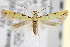  ( - CNCLEP00100543)  @14 [ ] CreativeCommons - Attribution (2013) CNC/CBG Photography Group Centre for Biodiversity Genomics