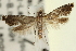  ( - CNCLEP00100579)  @13 [ ] CreativeCommons - Attribution (2013) CNC/CBG Photography Group Centre for Biodiversity Genomics