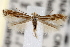  ( - CNCLEP00100583)  @12 [ ] CreativeCommons - Attribution (2013) CNC/CBG Photography Group Centre for Biodiversity Genomics