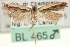  ( - CNCLEP00100632)  @11 [ ] CreativeCommons - Attribution (2013) CNC/CBG Photography Group Centre for Biodiversity Genomics