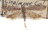  ( - CNCLEP00100646)  @11 [ ] CreativeCommons - Attribution (2013) CNC/CBG Photography Group Centre for Biodiversity Genomics