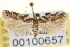  ( - CNCLEP00100657)  @14 [ ] CreativeCommons - Attribution (2013) CNC/CBG Photography Group Centre for Biodiversity Genomics