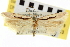  ( - CNCLEP00100719)  @12 [ ] CreativeCommons - Attribution (2013) CNC/CBG Photography Group Centre for Biodiversity Genomics