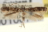  ( - CNCLEP00100749)  @11 [ ] CreativeCommons - Attribution (2013) CNC/CBG Photography Group Centre for Biodiversity Genomics