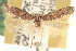  ( - CNCLEP00100760)  @11 [ ] CreativeCommons - Attribution (2013) CNC/CBG Photography Group Centre for Biodiversity Genomics