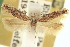 ( - CNCLEP00100761)  @11 [ ] CreativeCommons - Attribution (2013) CNC/CBG Photography Group Centre for Biodiversity Genomics