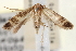  ( - CNCLEP00100792)  @11 [ ] CreativeCommons - Attribution (2013) CNC/CBG Photography Group Centre for Biodiversity Genomics