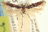  ( - CNCLEP00100814)  @11 [ ] CreativeCommons - Attribution (2013) CNC/CBG Photography Group Centre for Biodiversity Genomics