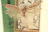  ( - CNCLEP00100881)  @11 [ ] CreativeCommons - Attribution (2013) CNC/CBG Photography Group Centre for Biodiversity Genomics