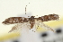  ( - CNCLEP00100887)  @12 [ ] CreativeCommons - Attribution (2013) CNC/CBG Photography Group Centre for Biodiversity Genomics