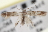  ( - CNCLEP00100888)  @13 [ ] CreativeCommons - Attribution (2013) CNC/CBG Photography Group Centre for Biodiversity Genomics