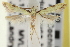  ( - CNCLEP00100910)  @13 [ ] CreativeCommons - Attribution (2013) CNC/CBG Photography Group Centre for Biodiversity Genomics
