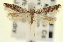  (Taygete - CNCLEP00100915)  @14 [ ] CreativeCommons - Attribution (2013) CNC/CBG Photography Group Centre for Biodiversity Genomics