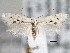  ( - CNCLEP00101384)  @13 [ ] CreativeCommons - Attribution (2013) CNC/CBG Photography Group Centre for Biodiversity Genomics