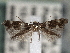  ( - CNCLEP00101389)  @12 [ ] CreativeCommons - Attribution (2013) CNC/CBG Photography Group Centre for Biodiversity Genomics