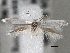  ( - CNCLEP00101390)  @13 [ ] CreativeCommons - Attribution (2013) CNC/CBG Photography Group Centre for Biodiversity Genomics