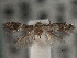  ( - CNCLEP00101393)  @12 [ ] CreativeCommons - Attribution (2013) CNC/CBG Photography Group Centre for Biodiversity Genomics