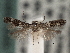  ( - CNCLEP00101395)  @12 [ ] CreativeCommons - Attribution (2013) CNC/CBG Photography Group Centre for Biodiversity Genomics