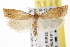  ( - CNCLEP00101617)  @13 [ ] CreativeCommons - Attribution (2013) CNC/CBG Photography Group Centre for Biodiversity Genomics